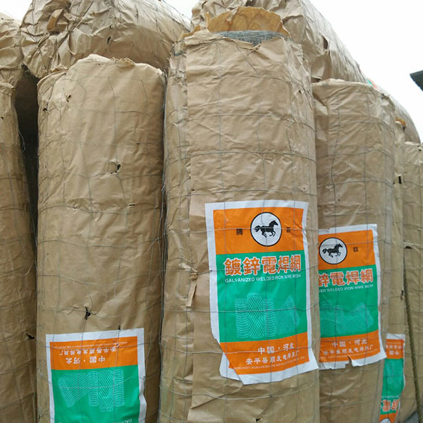 熱鍍鋅鋼絲網(wǎng)-(1)